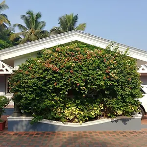 The Cute Resort